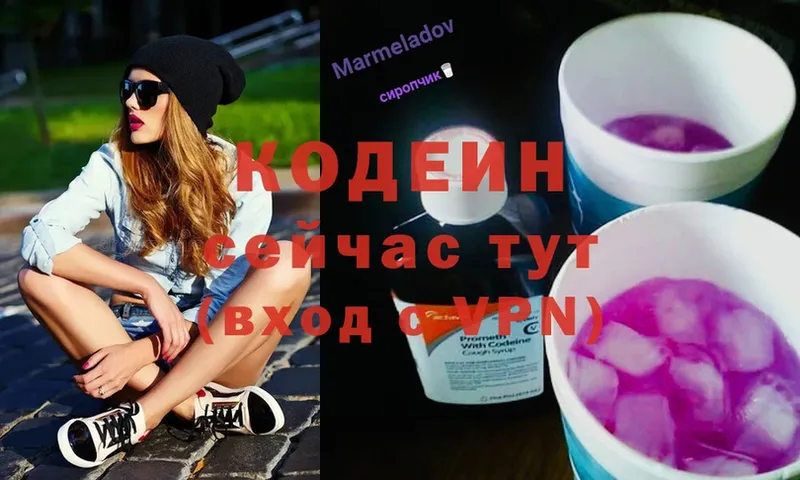 наркота  Железногорск-Илимский  darknet официальный сайт  Codein Purple Drank 